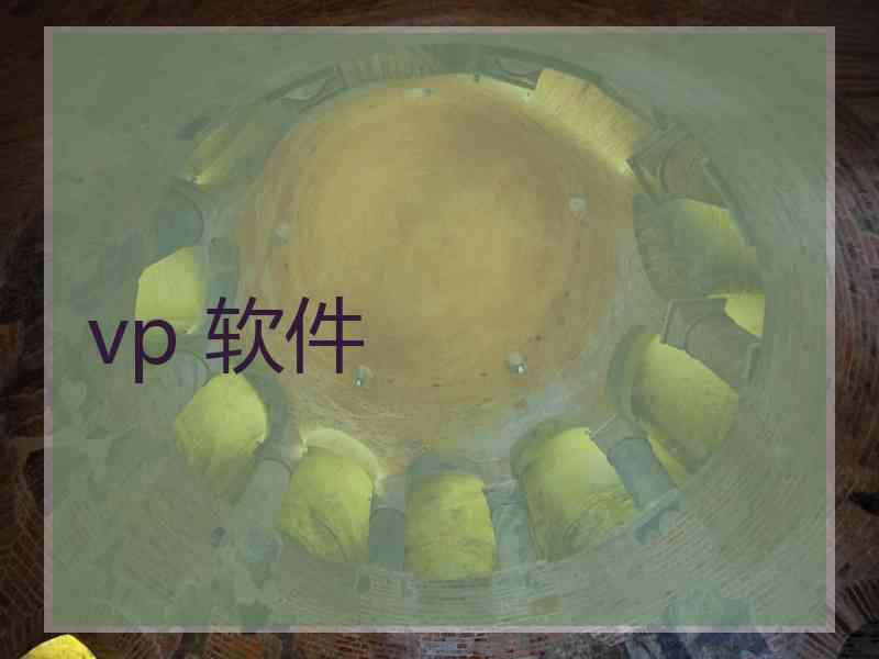 vp 软件