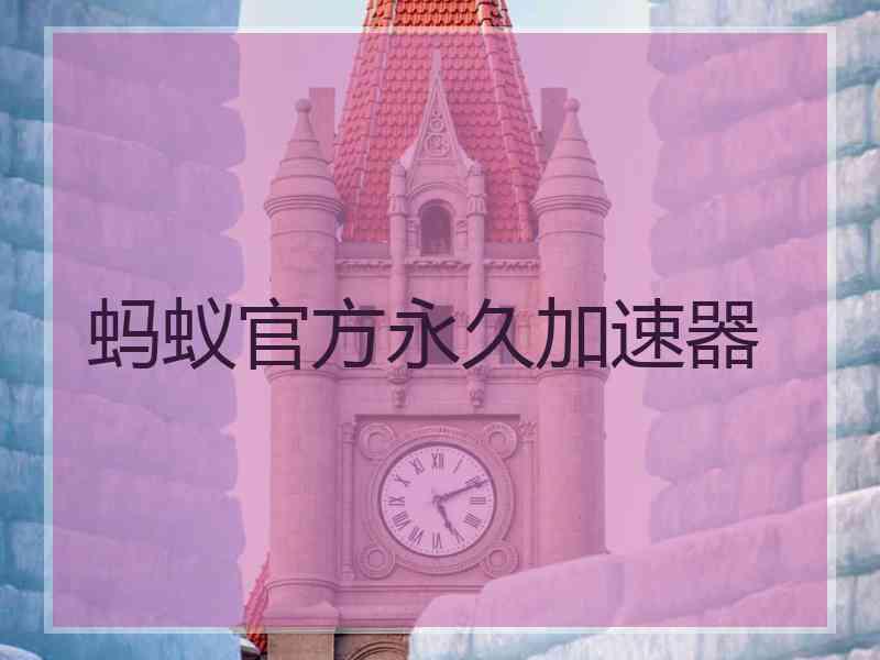 蚂蚁官方永久加速器