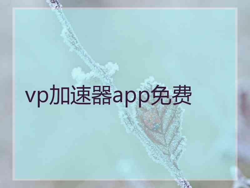 vp加速器app免费