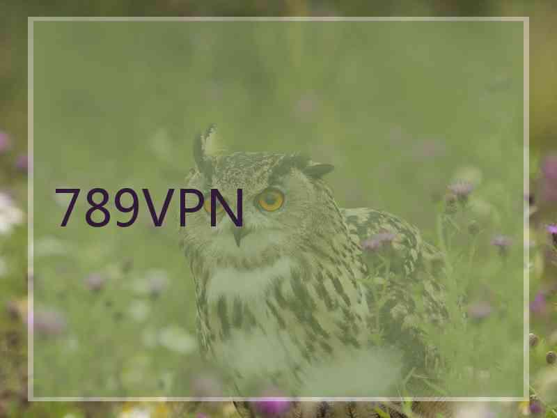 789VPN