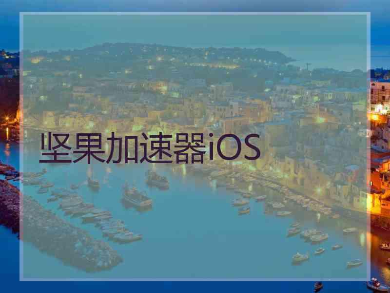 坚果加速器iOS