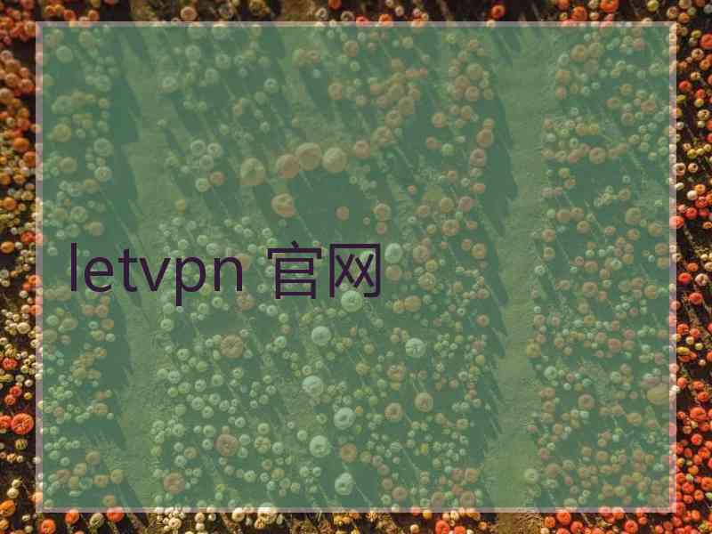 letvpn 官网