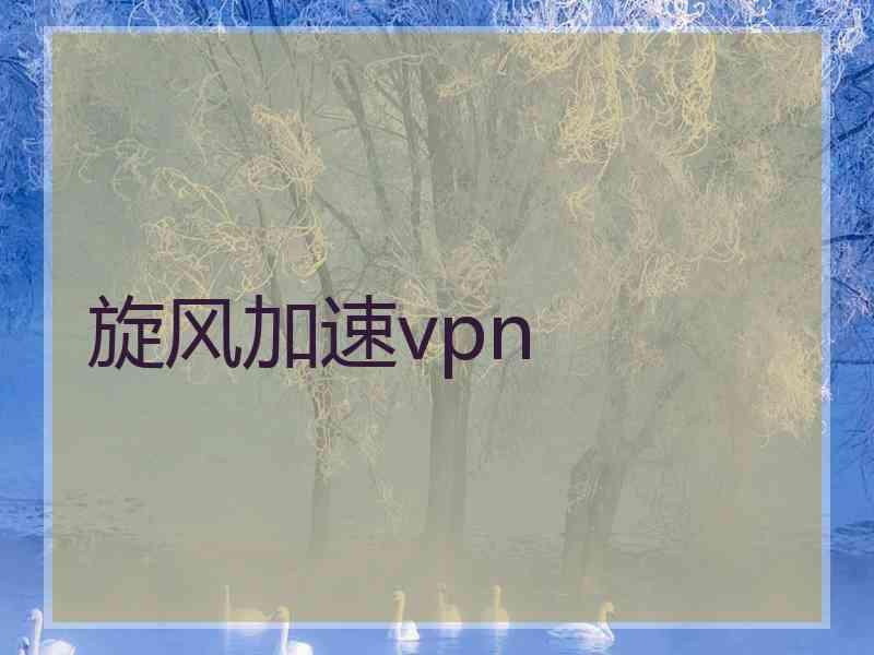 旋风加速vpn