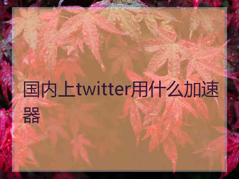 国内上twitter用什么加速器