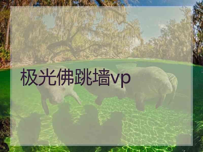 极光佛跳墙vp