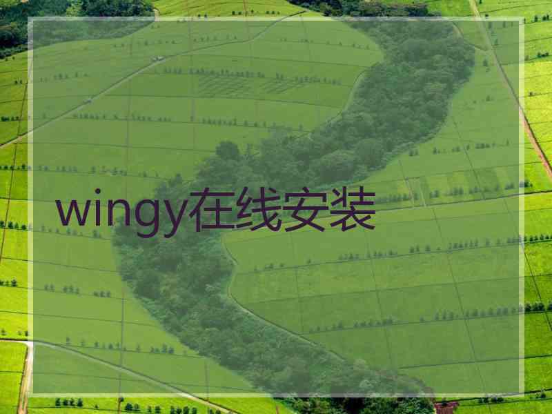 wingy在线安装