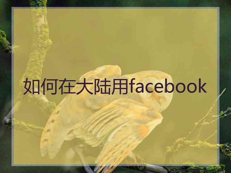 如何在大陆用facebook