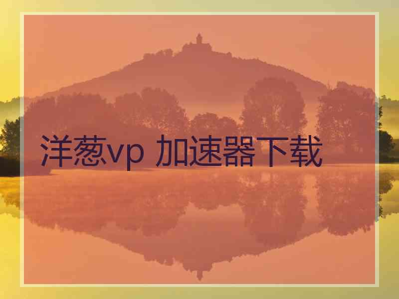 洋葱vp 加速器下载