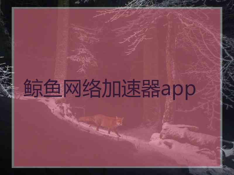 鲸鱼网络加速器app