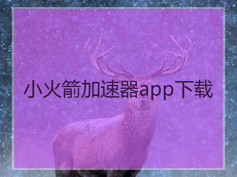 小火箭加速器app下载