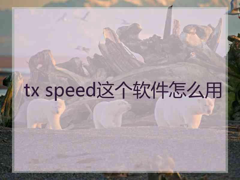 tx speed这个软件怎么用