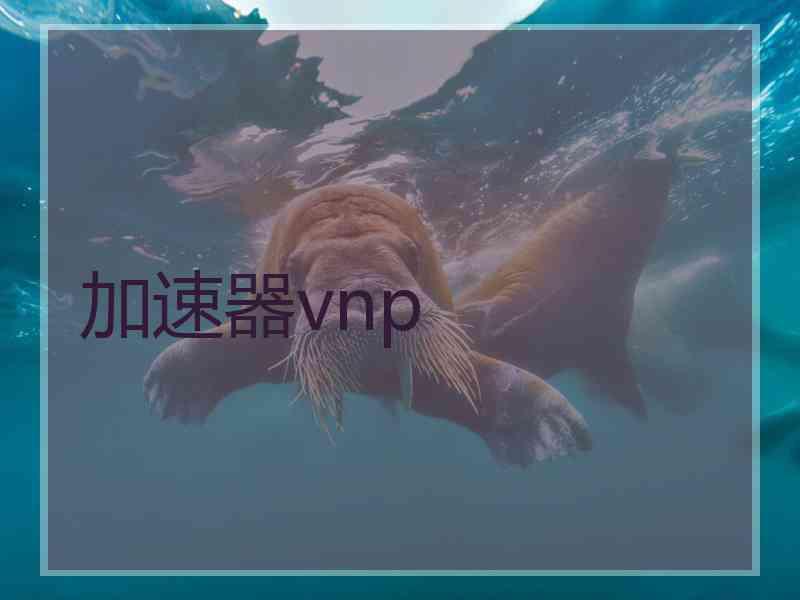 加速器vnp