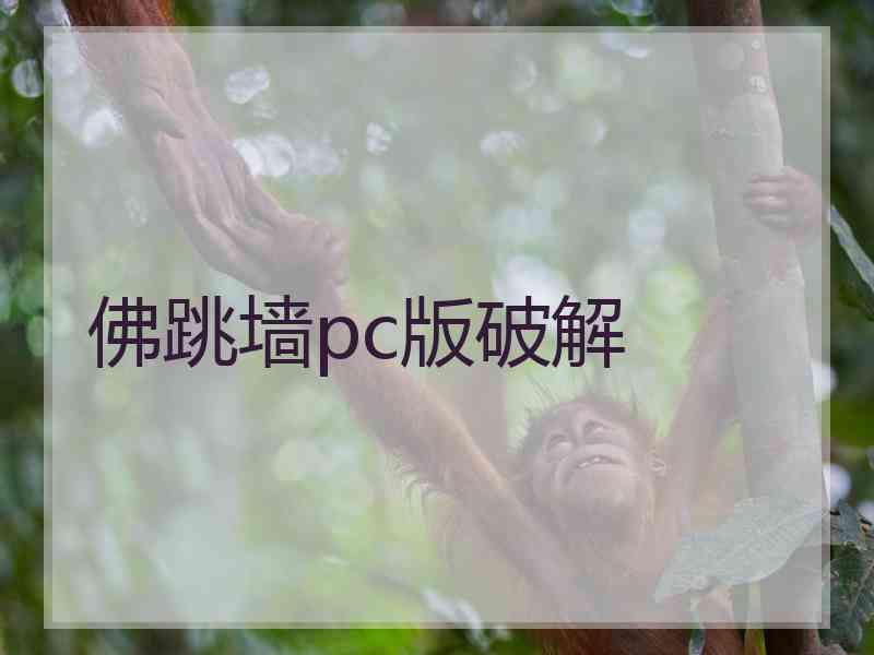 佛跳墙pc版破解