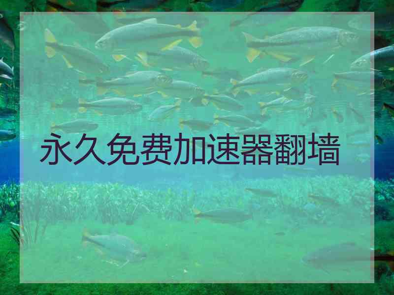 永久免费加速器翻墙