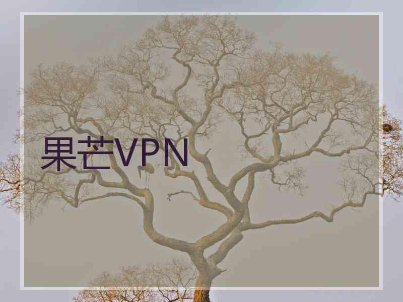 果芒VPN