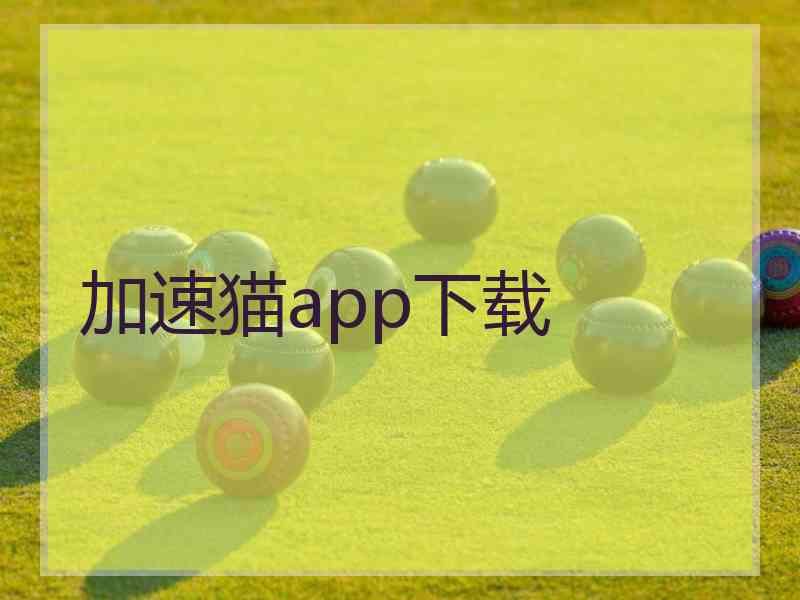 加速猫app下载