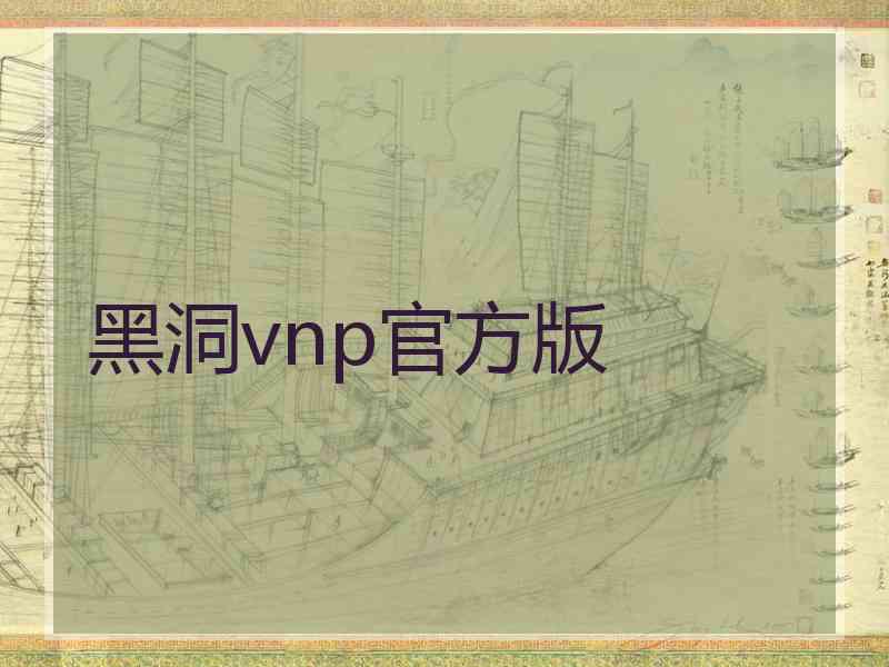 黑洞vnp官方版