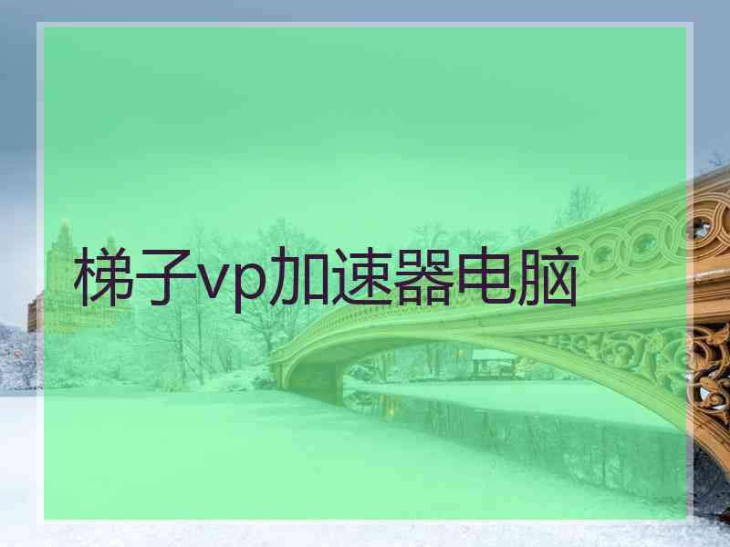 梯子vp加速器电脑