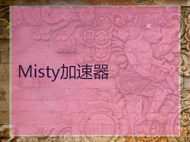 Misty加速器