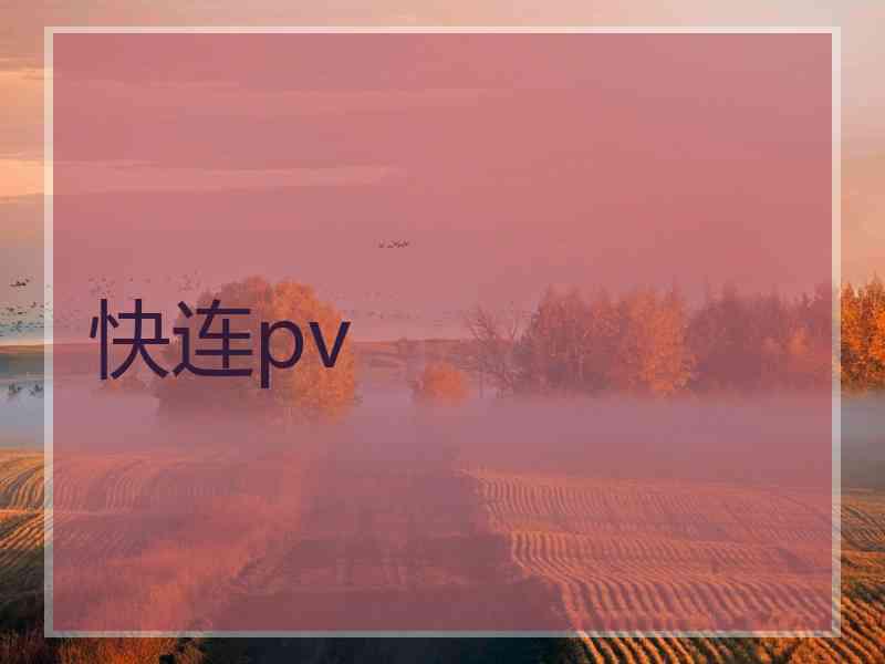 快连pv