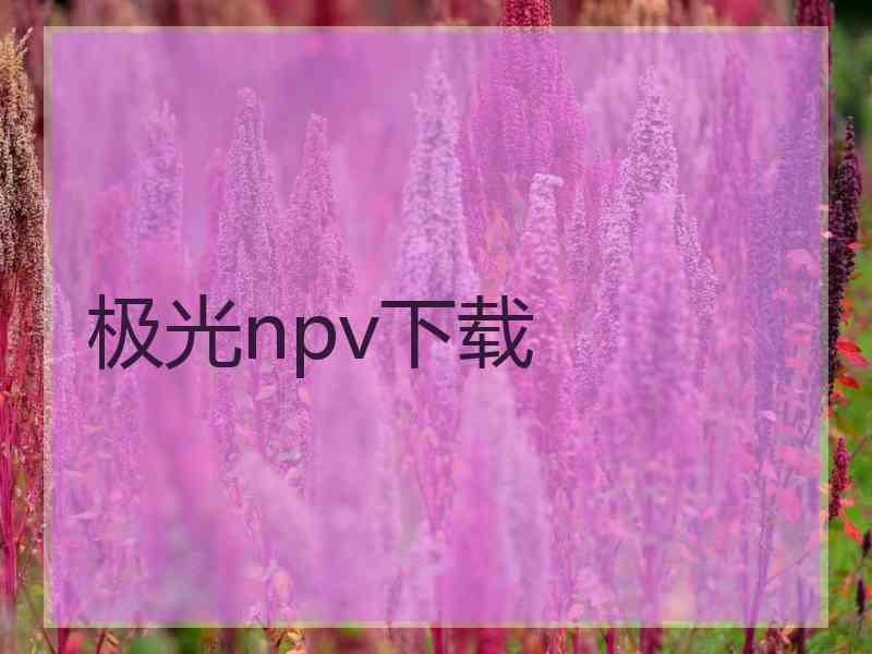 极光npv下载