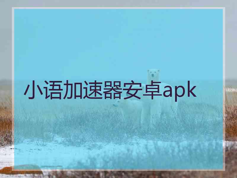 小语加速器安卓apk