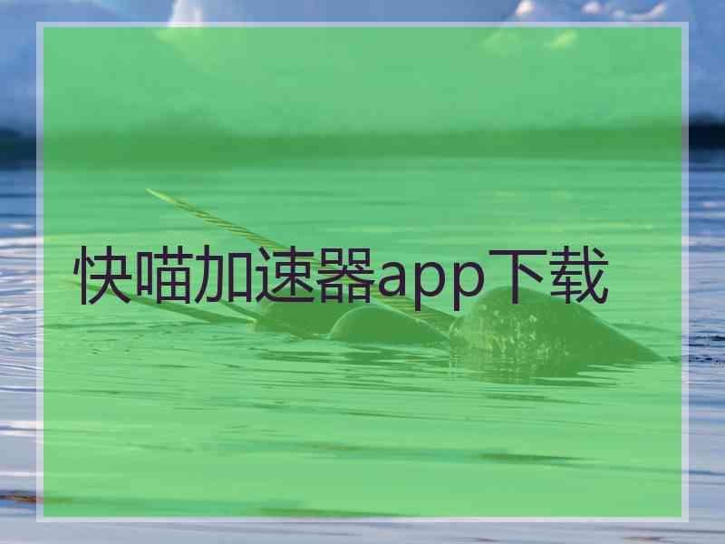 快喵加速器app下载