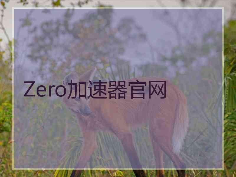 Zero加速器官网