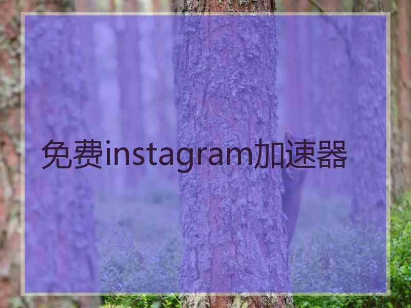 免费instagram加速器