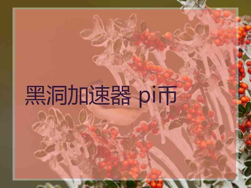 黑洞加速器 pi币