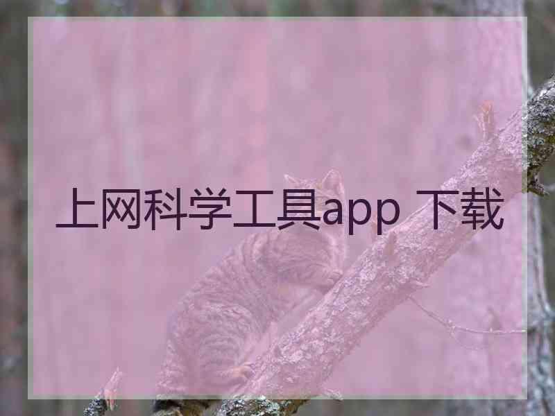 上网科学工具app 下载