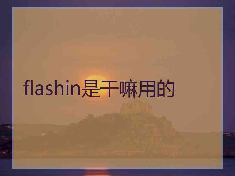 flashin是干嘛用的