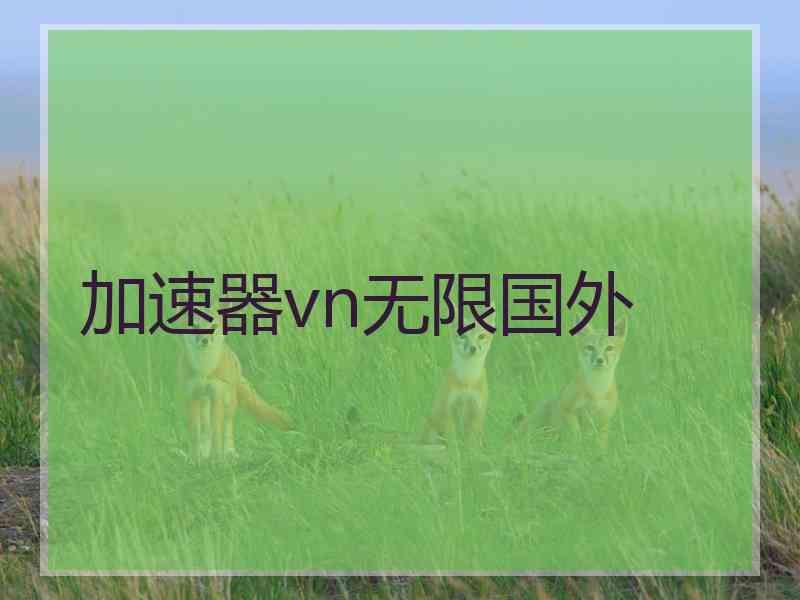 加速器vn无限国外