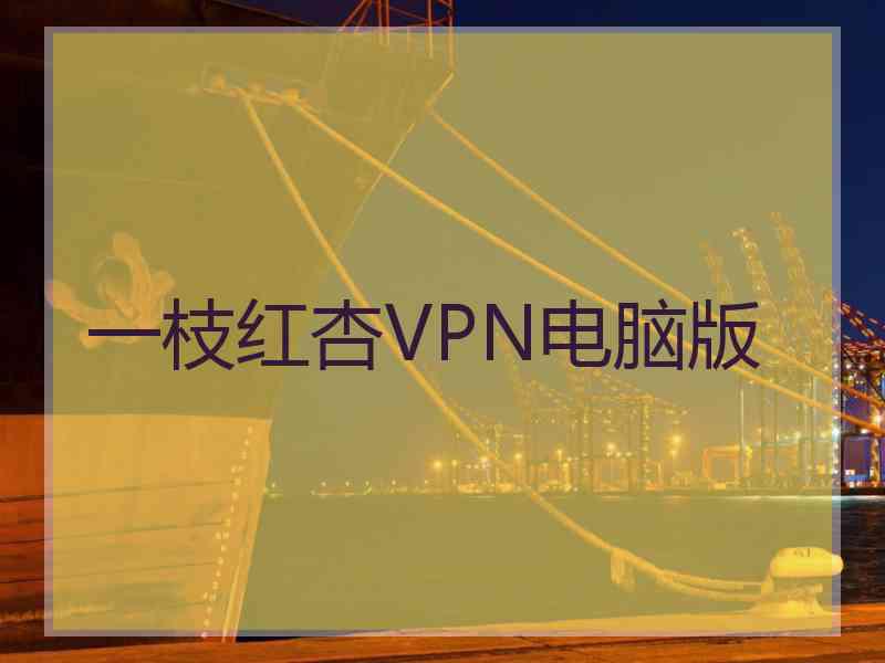 一枝红杏VPN电脑版