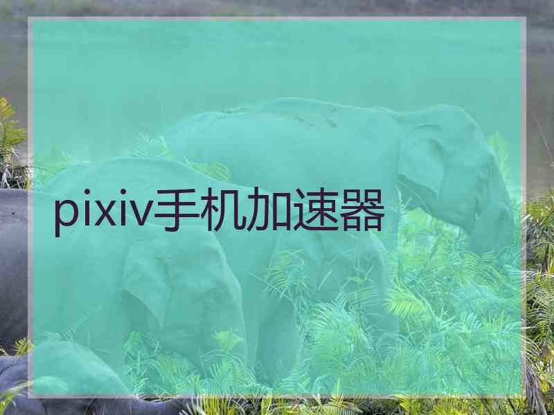 pixiv手机加速器