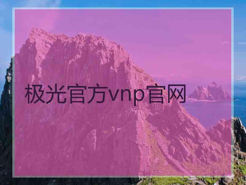 极光官方vnp官网