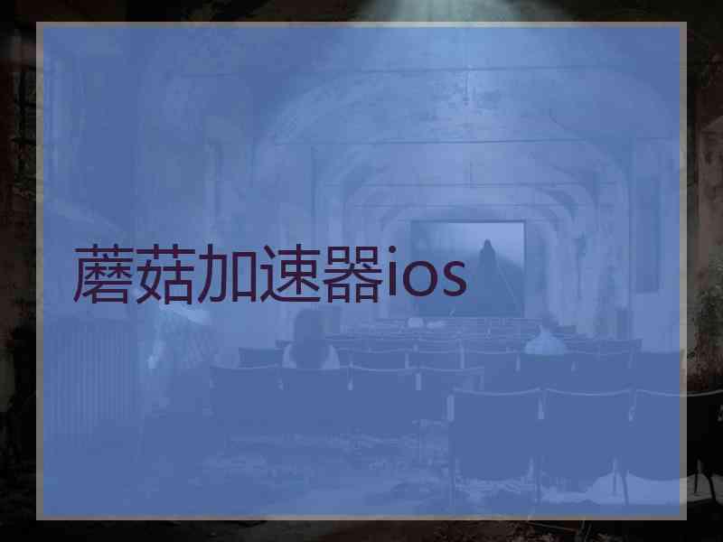 蘑菇加速器ios