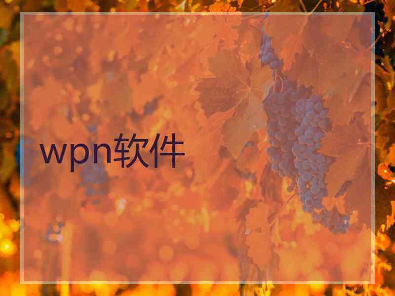 wpn软件