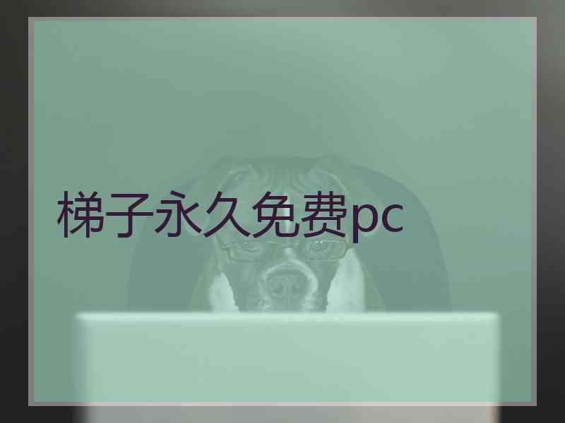 梯子永久免费pc