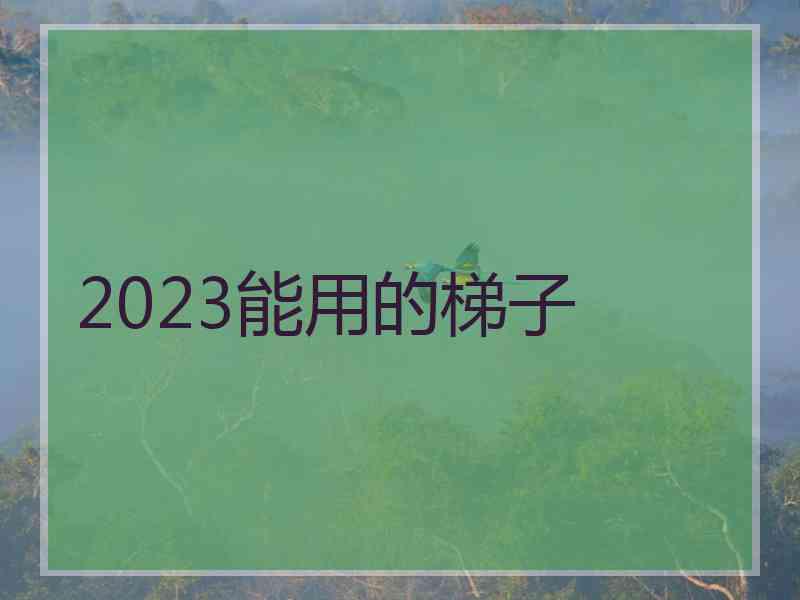 2023能用的梯子