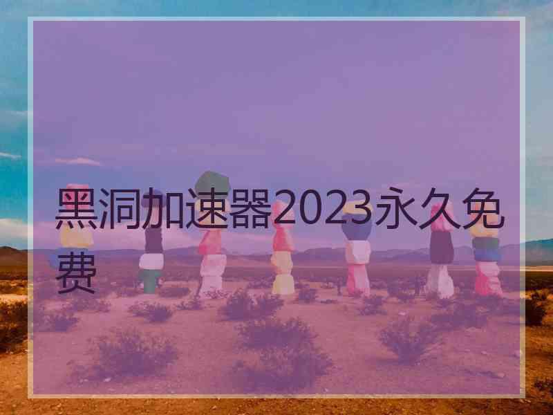 黑洞加速器2023永久免费