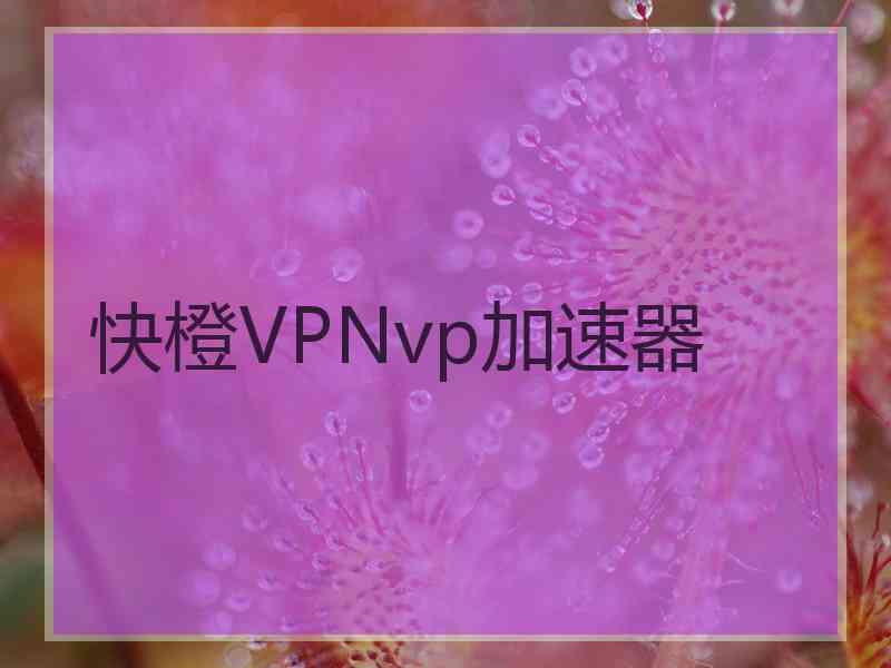 快橙VPNvp加速器