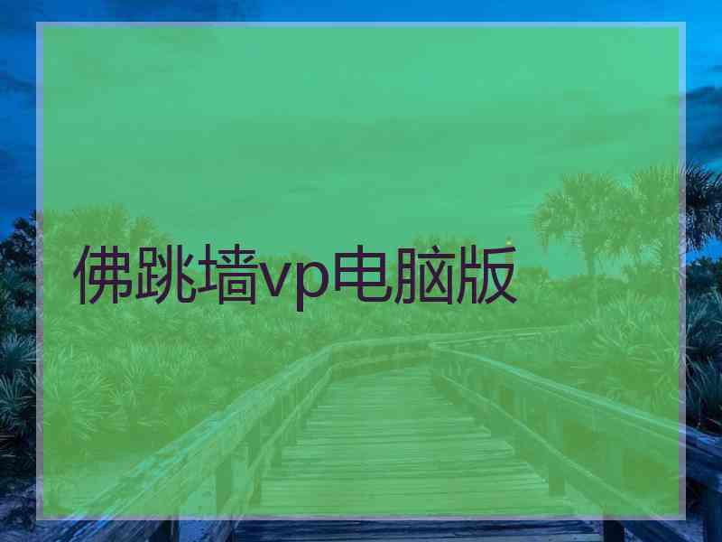 佛跳墙vp电脑版